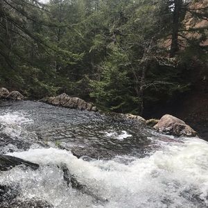 Meet your Posher, Lacey